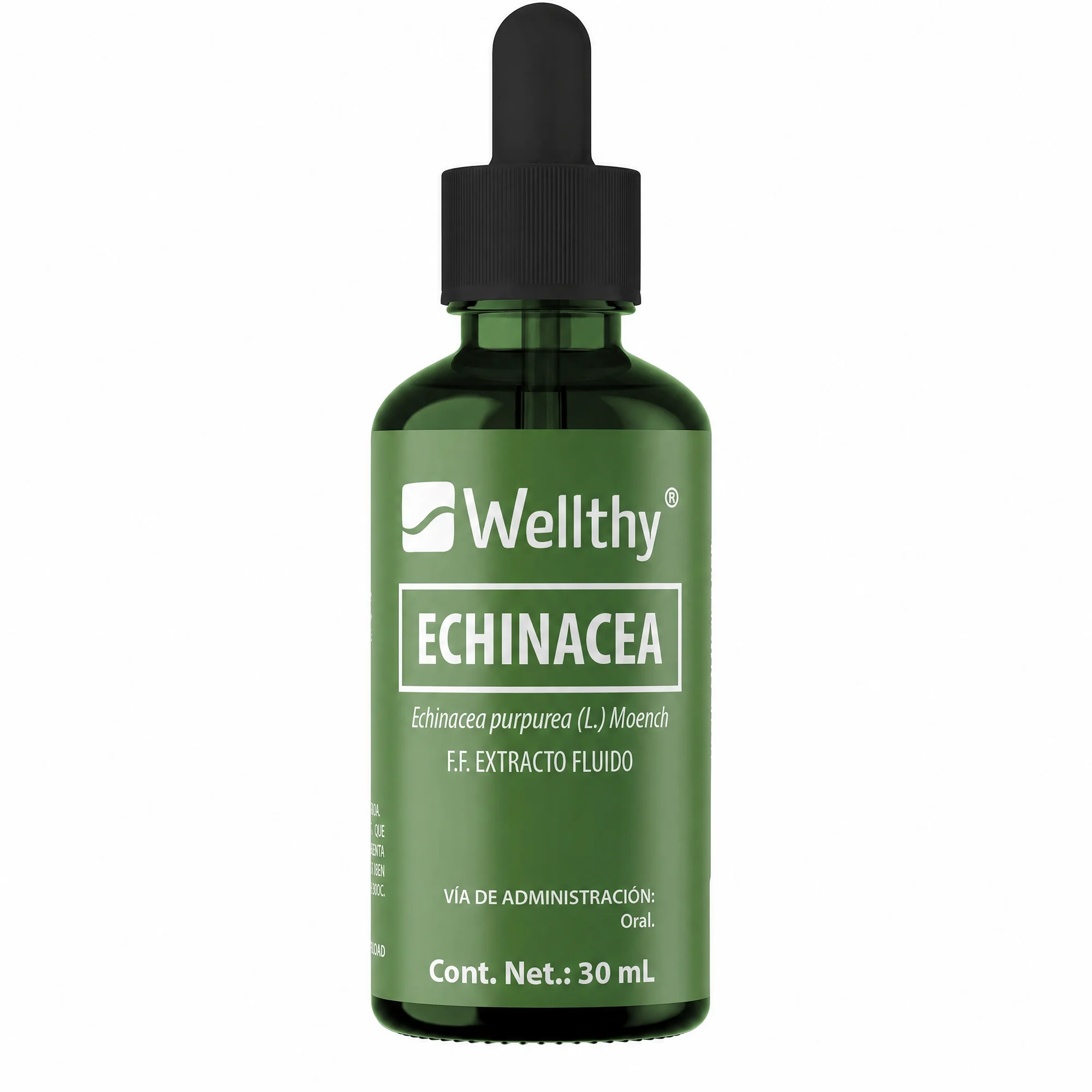 Echinacea