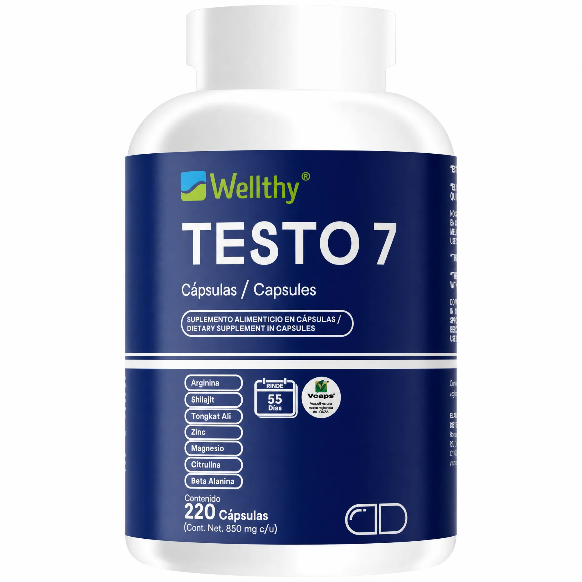 Testo 7