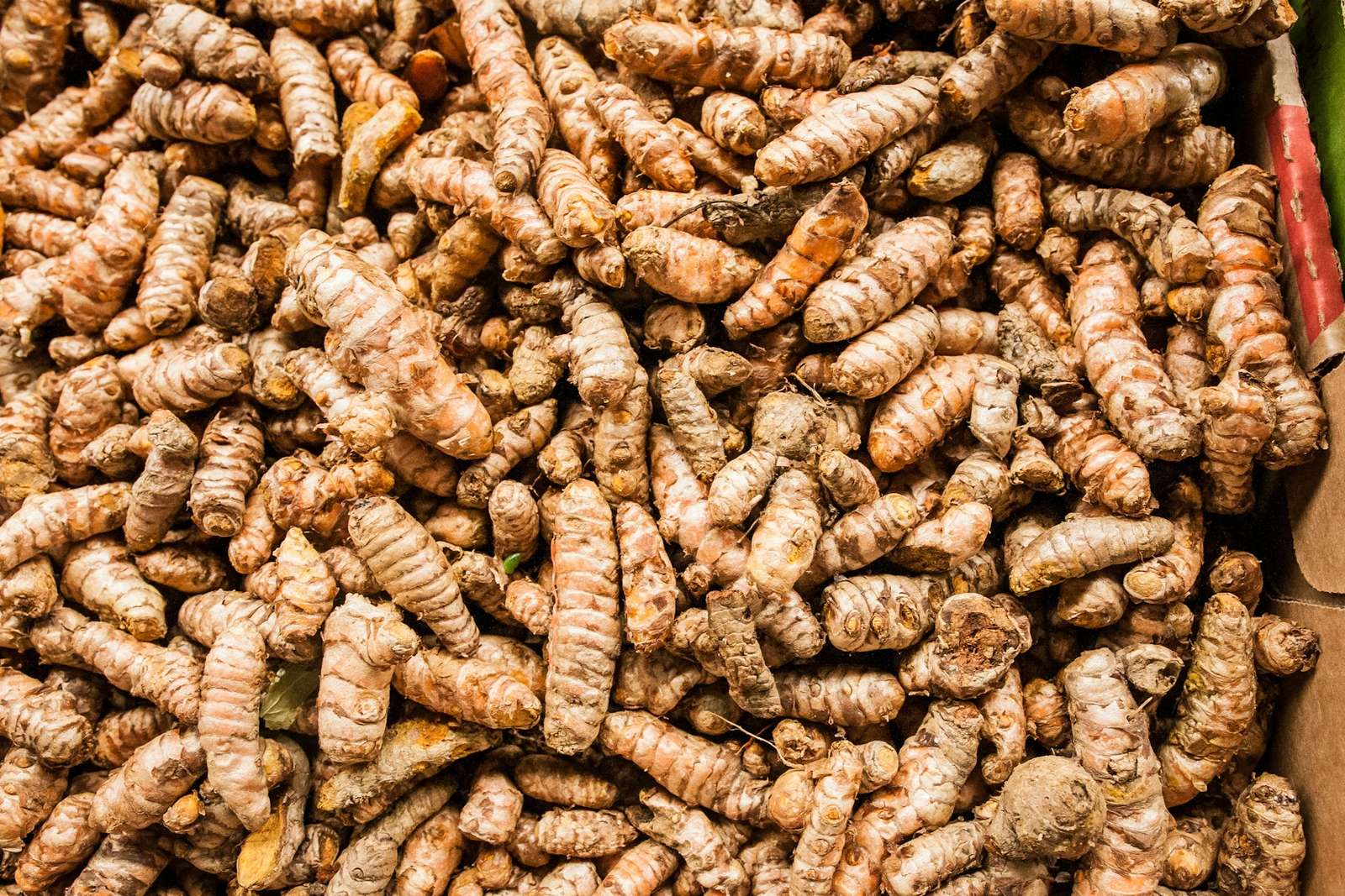 Cúrcuma y jengibre: la pareja antiinflamatoria