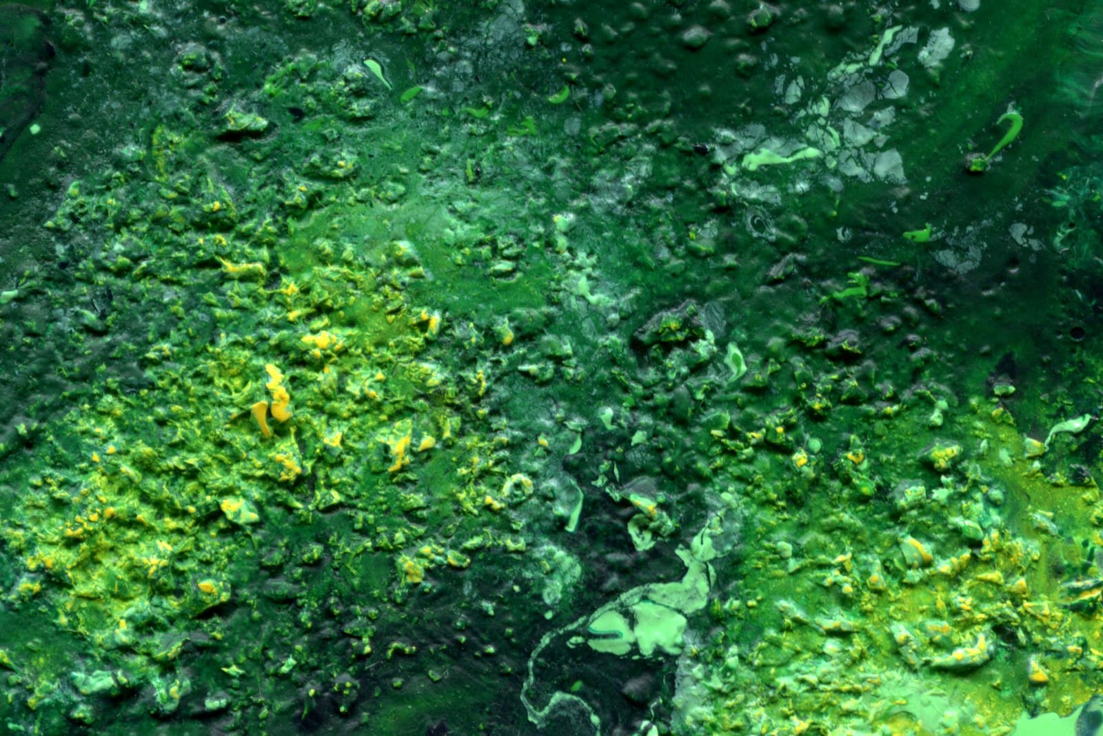 Espirulina: lo que esta alga hace por tu cuerpo cada día