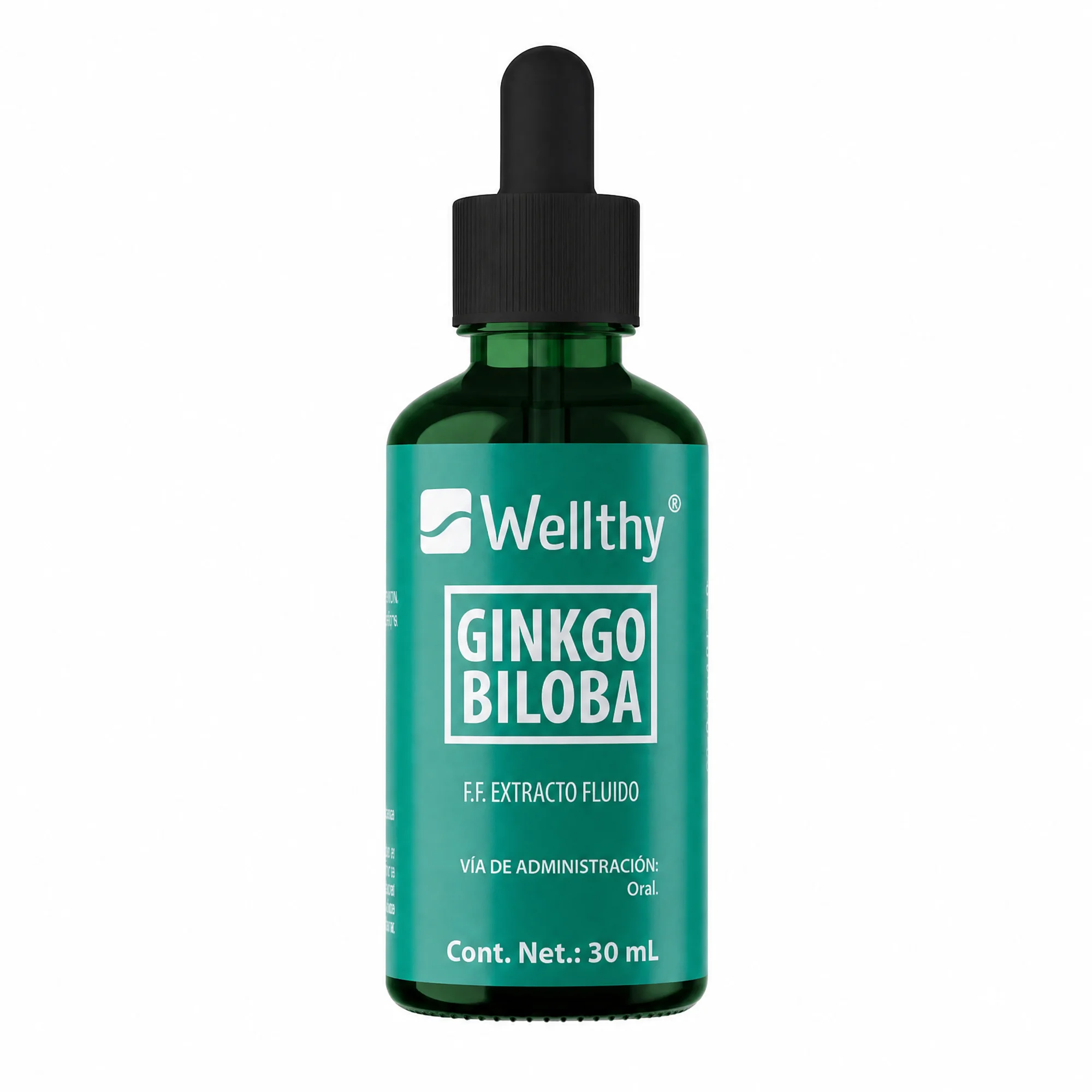 Ginkgo Biloba